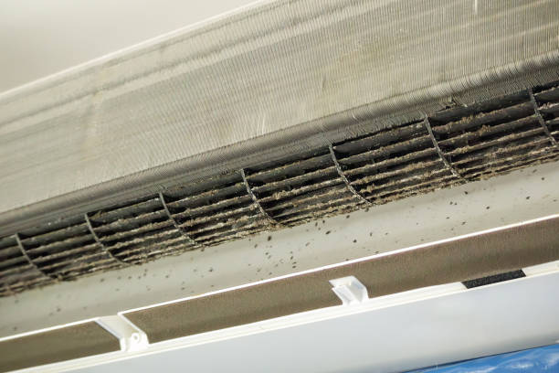 Best HVAC Maintenance and Cleaning  in Allendale, NJ